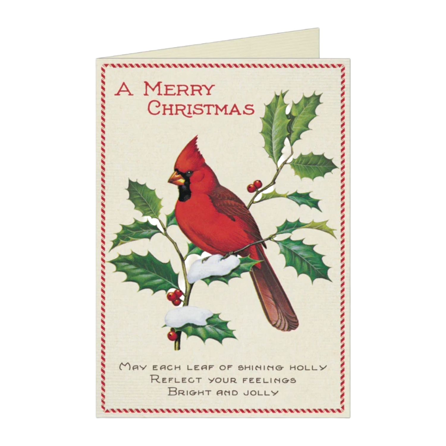 CAV Christmas Bird Holiday Card