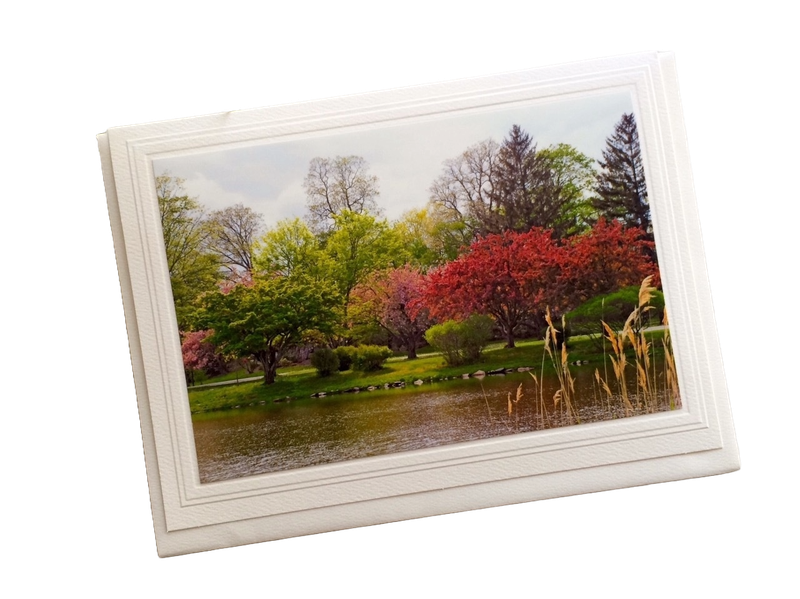 JD Bruce Park in the Spring Note Card
