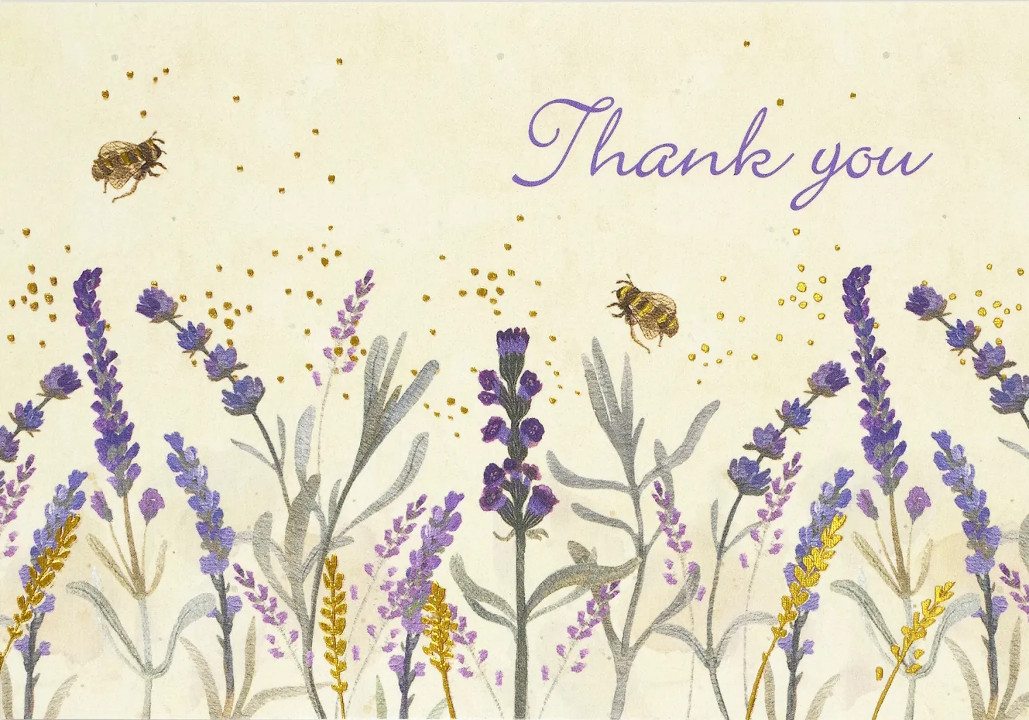PP Lavender &amp; Honey Thank You Note Cards