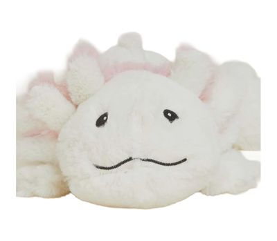 IN Axolotl Jr.