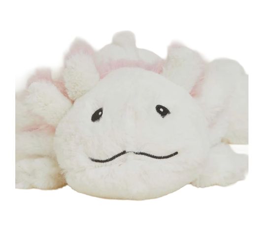 IN Axolotl Jr.