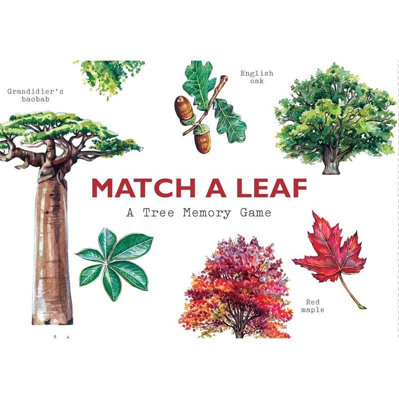 CB Match a Leaf