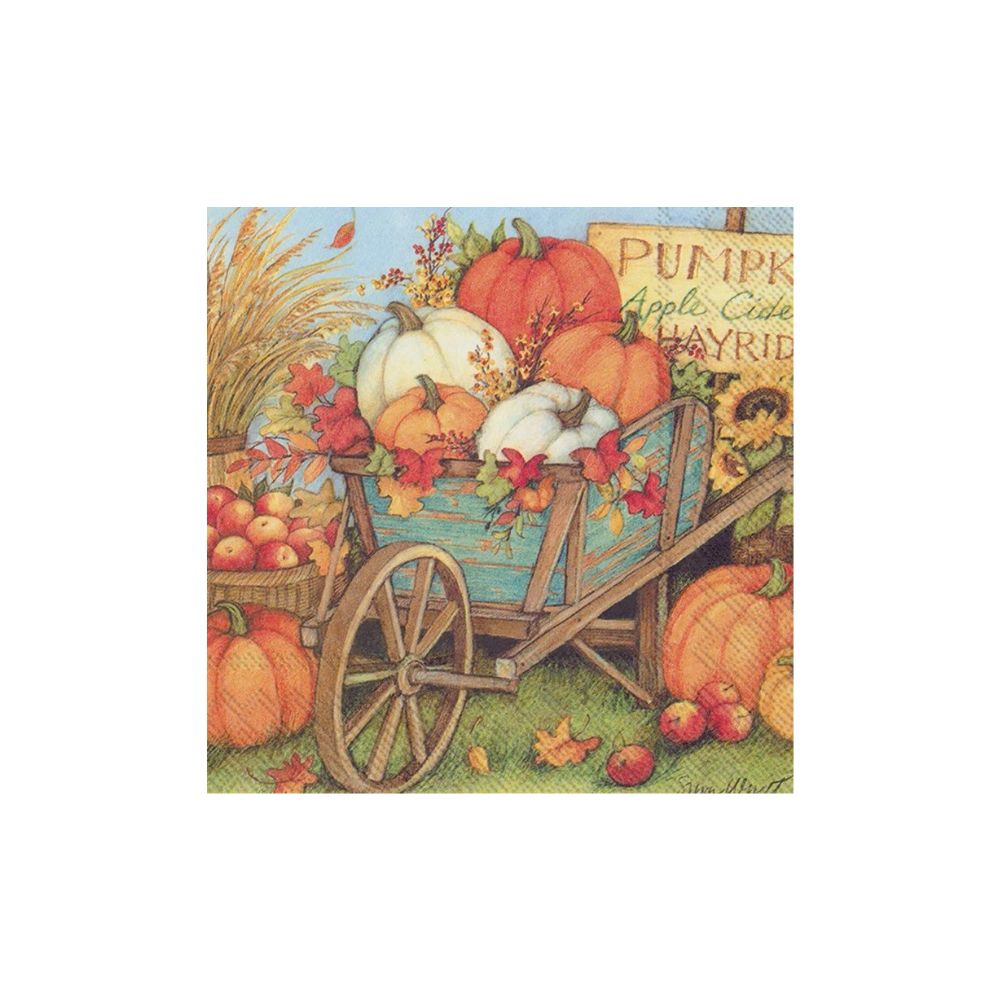 BI Pumpkin Crop Cocktail Napkin