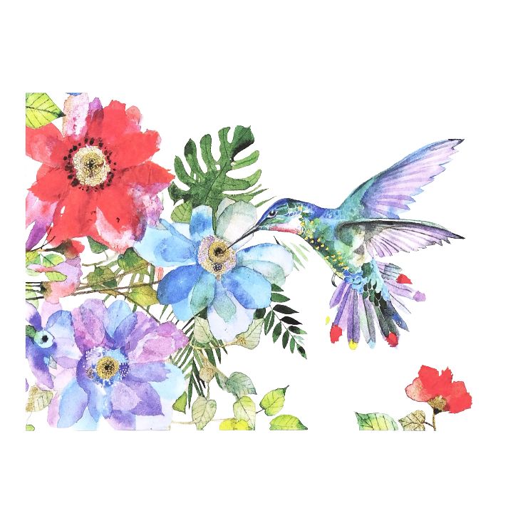 PP Hummingbird Garden Boxed Note Cards