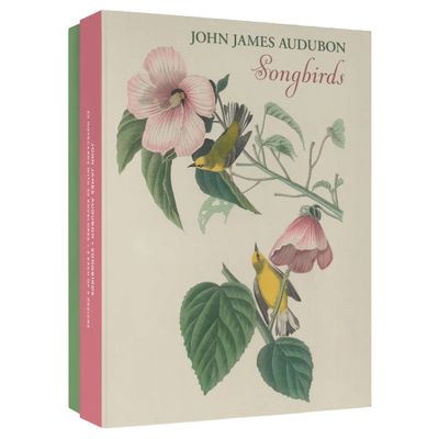 PO John James Audubon: Songbirds Boxed Notecards