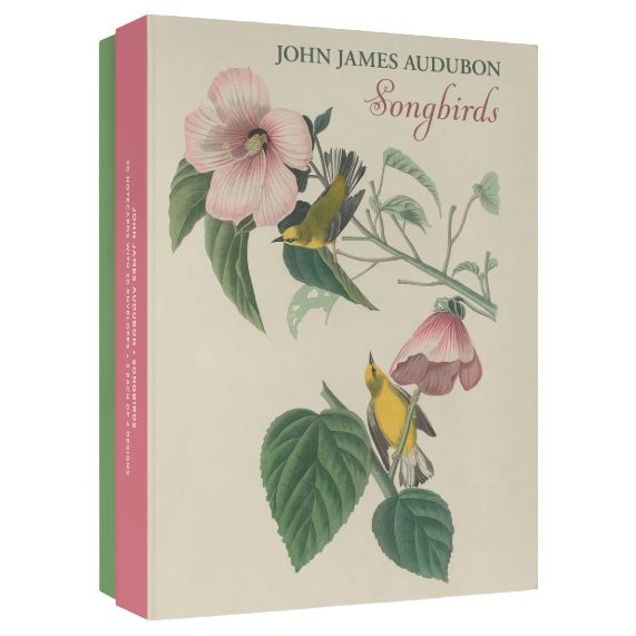PO John James Audubon: Songbirds Boxed Notecards