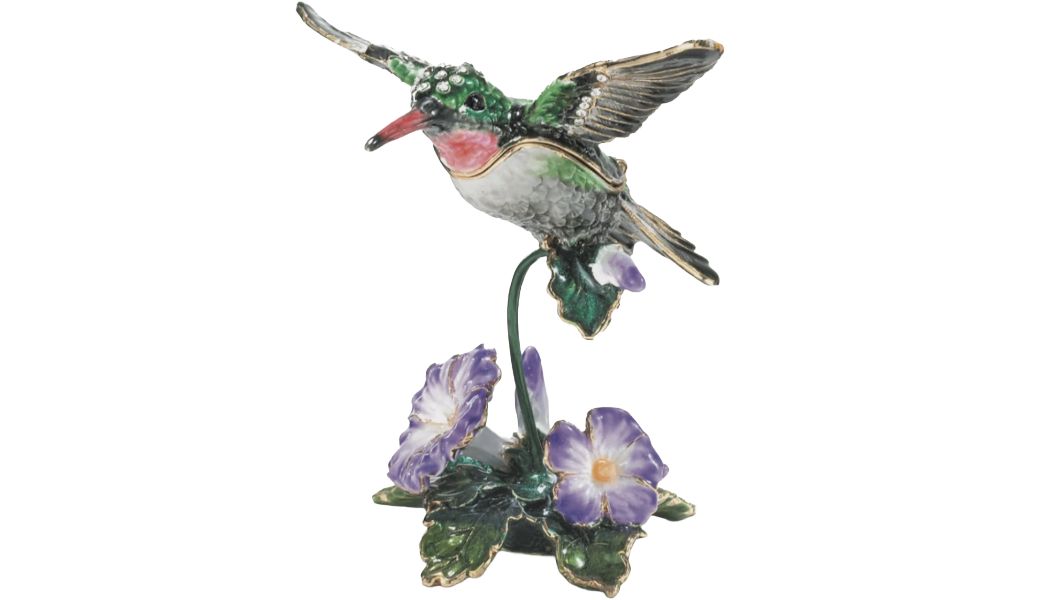 KC Hummingbird with Morning Glory