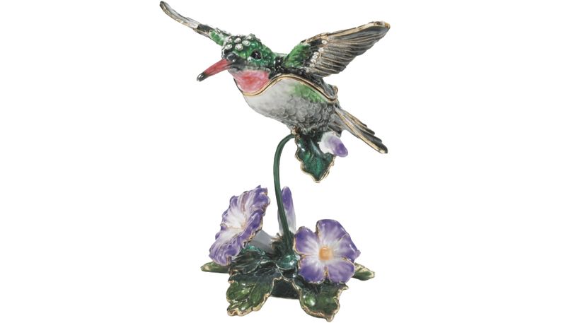 KC Hummingbird with Morning Glory