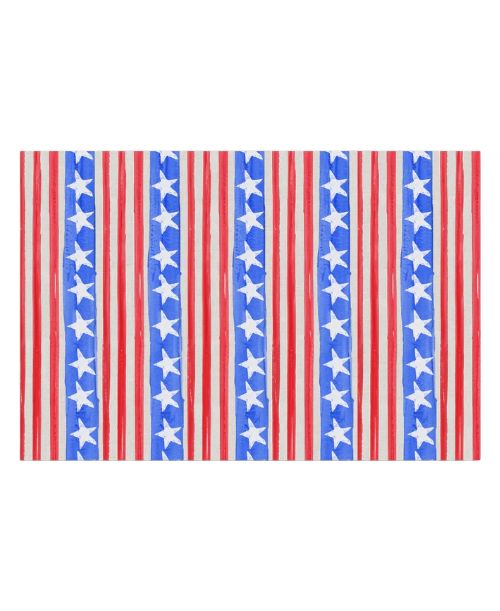 FG Stars &amp; Stripes Placemats