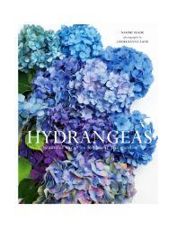 SS Hydrangeas
