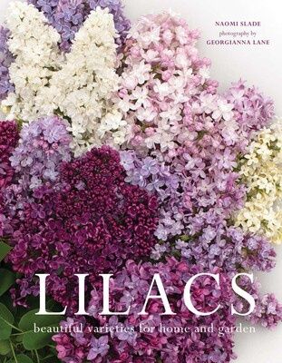 SS Lilacs