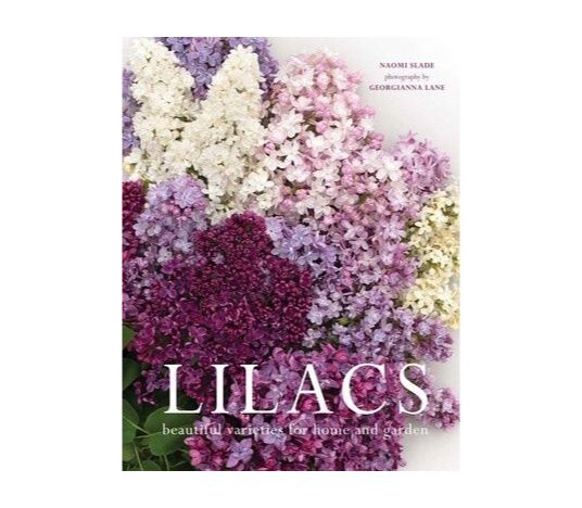 SS Lilacs