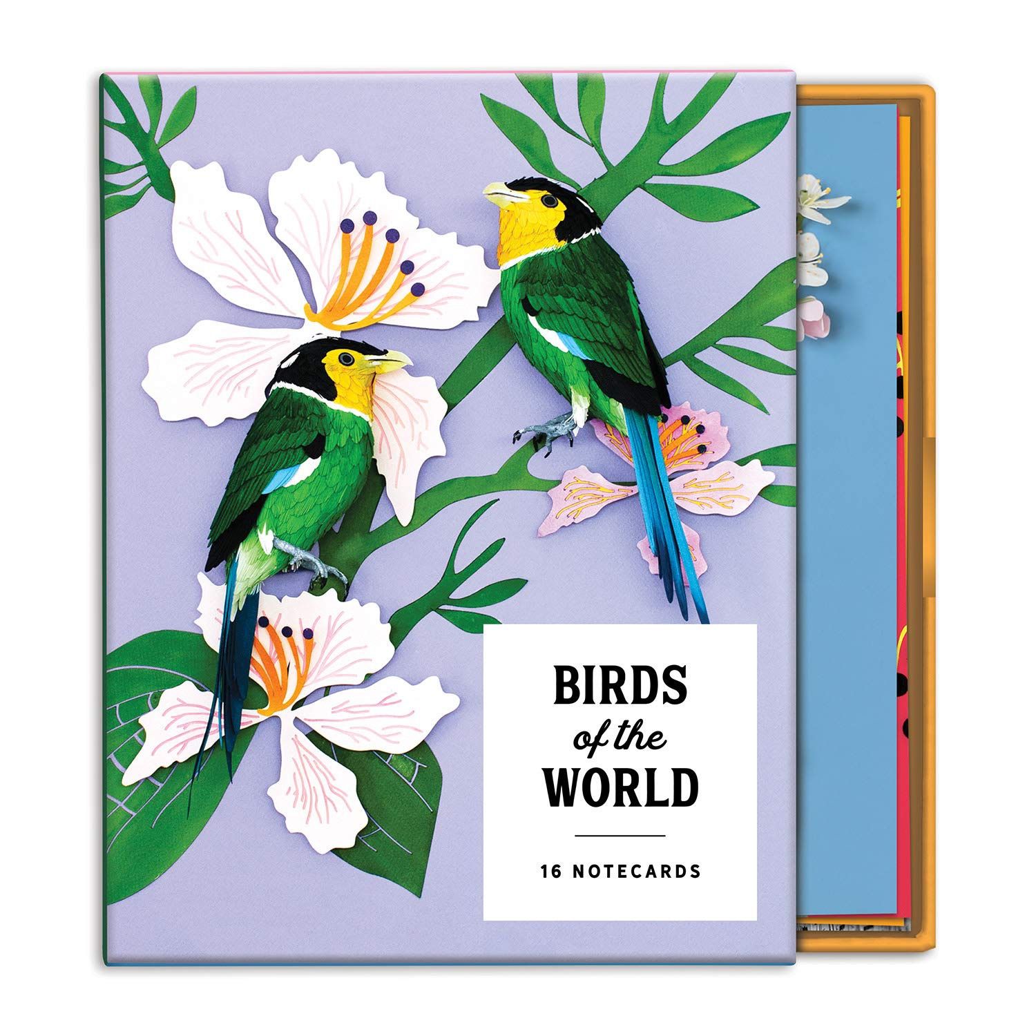 CB Birds of the World Boxed Note Cards