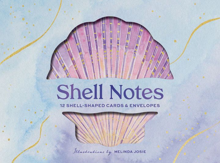 CB Shell Notes Boxed Notecards
