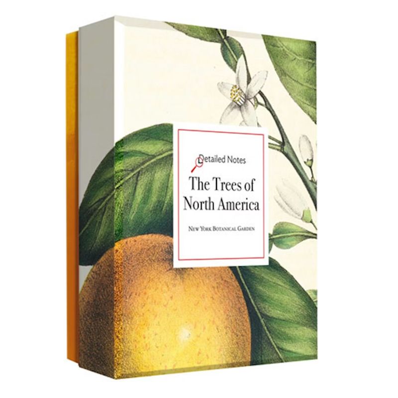 WWN Trees of North America Boxed Note Cards