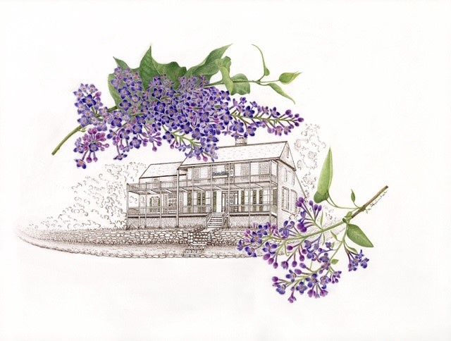 GBA Bush Holley with Lilacs Boxed Notecards