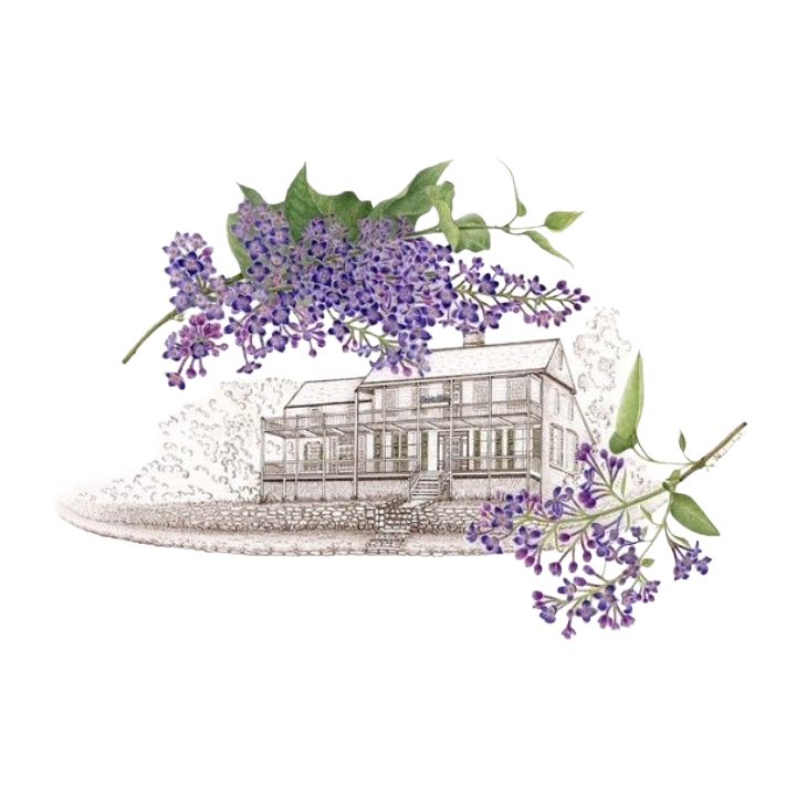 GBA Bush Holley with Lilacs Boxed Notecards