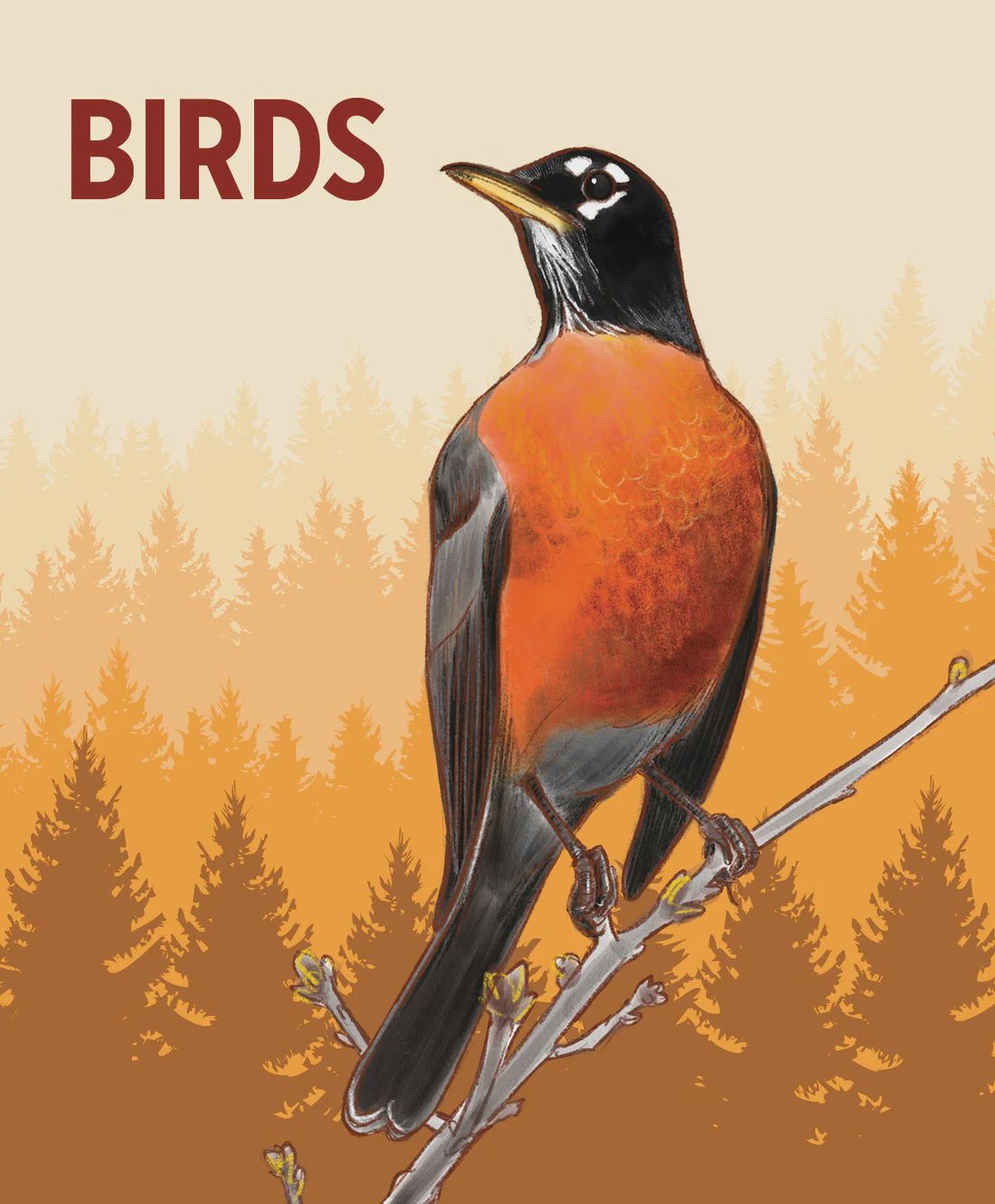 PO Bird Knowledge Cards