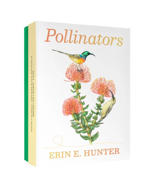 PO The Pollinators Boxed Notecards