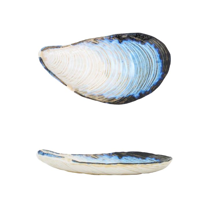 BA Mussel Shaped Ceramic Plate