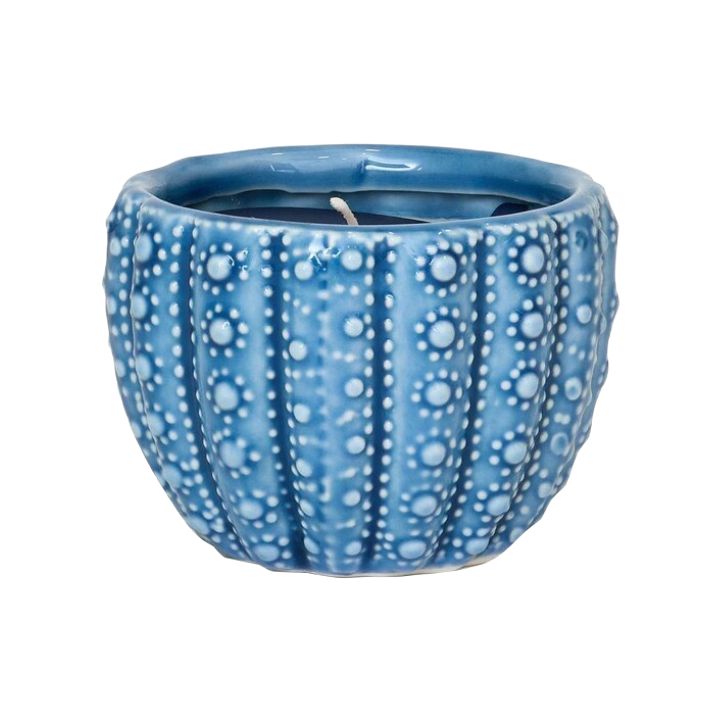 BA Sea Urchin Candle