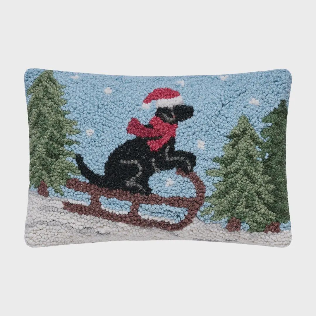 PH Lab on Sled Hook Pillow