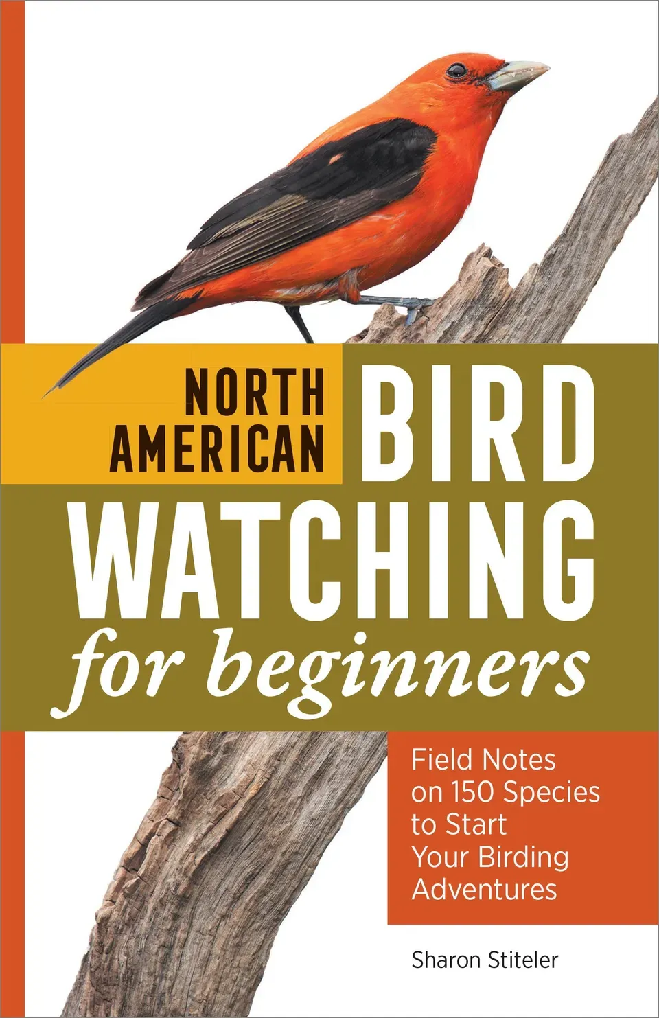 SOU North American Bird Watching for Beginners