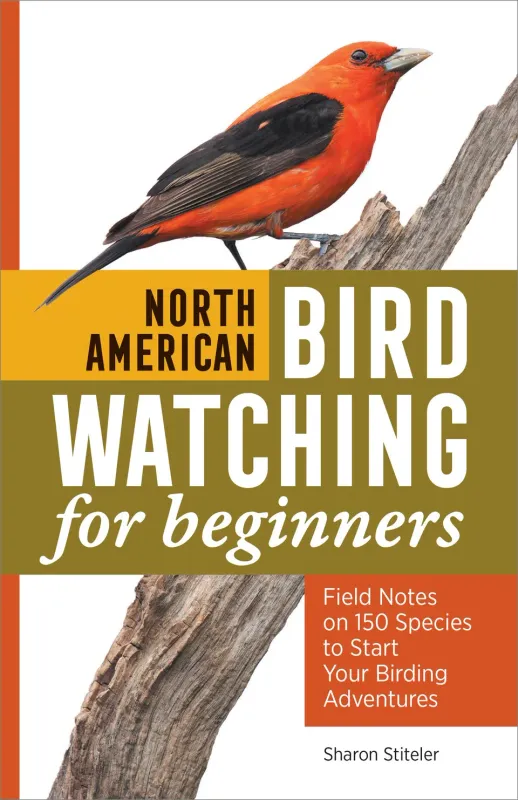 SOU North American Bird Watching for Beginners
