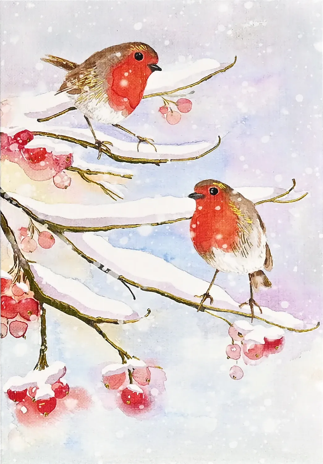PP English Robins in Snow Holiday Boxed Cards