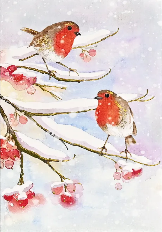 PP English Robins in Snow Holiday Boxed Cards
