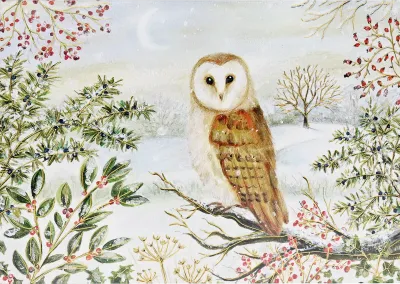 PP Barn Owl in Winter Deluxe Boxed Holiday Cards