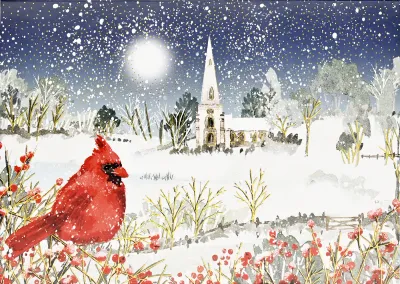 PP Cardinal in Moonlight Deluxe Boxed Holiday Cards