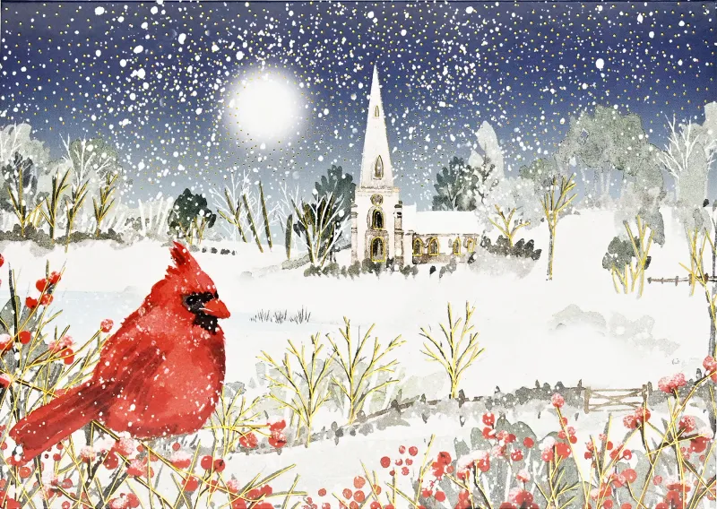 PP Cardinal in Moonlight Deluxe Boxed Holiday Cards