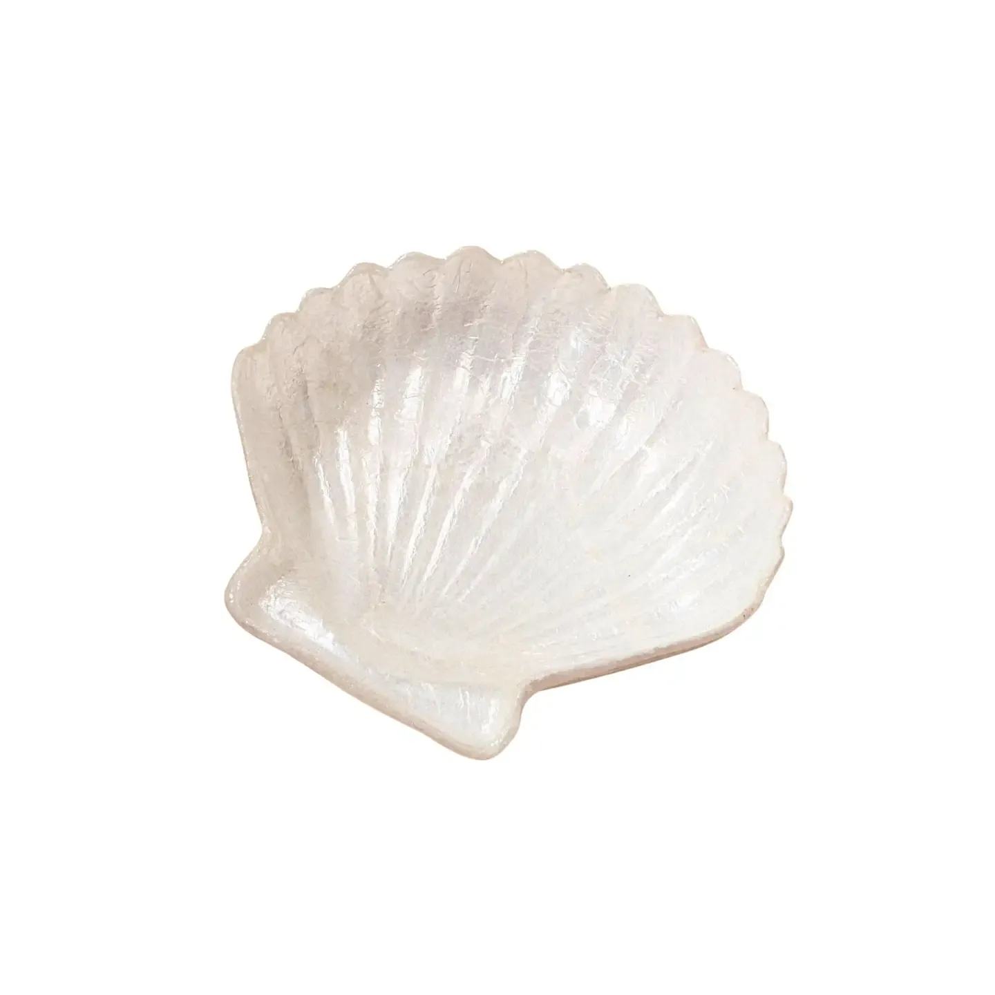 DG  Small Capiz Clam Shell Dish