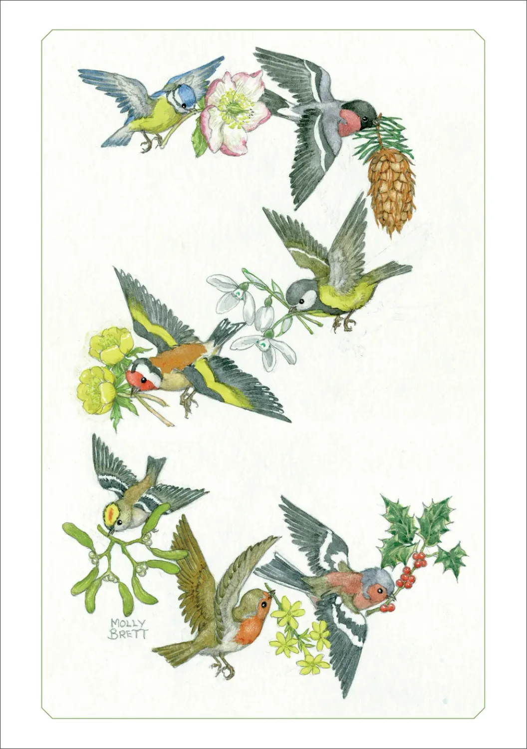 PO Birds Delivering Festive Flowers Boxed Note Cards