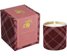 ANC Pomander Seasonal Boxed Candle