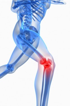 End Knee Pain &amp; Improve Performance Guy Voyer, D.O. Seminar *BEFORE JAN 6*