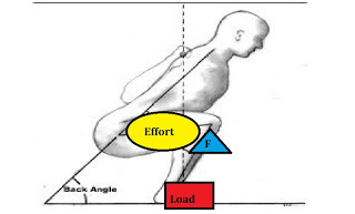The Squat