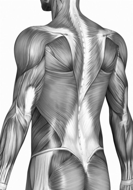 GPS – Global Postural Stretching **Early Bird Rate**