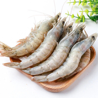 Seafood