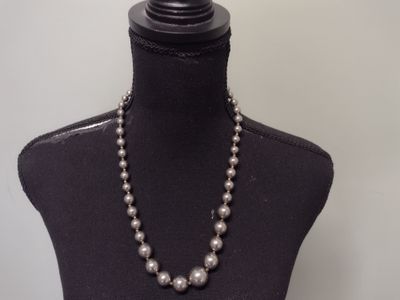 Dauplaise 3984900 Silver Tone Necklace