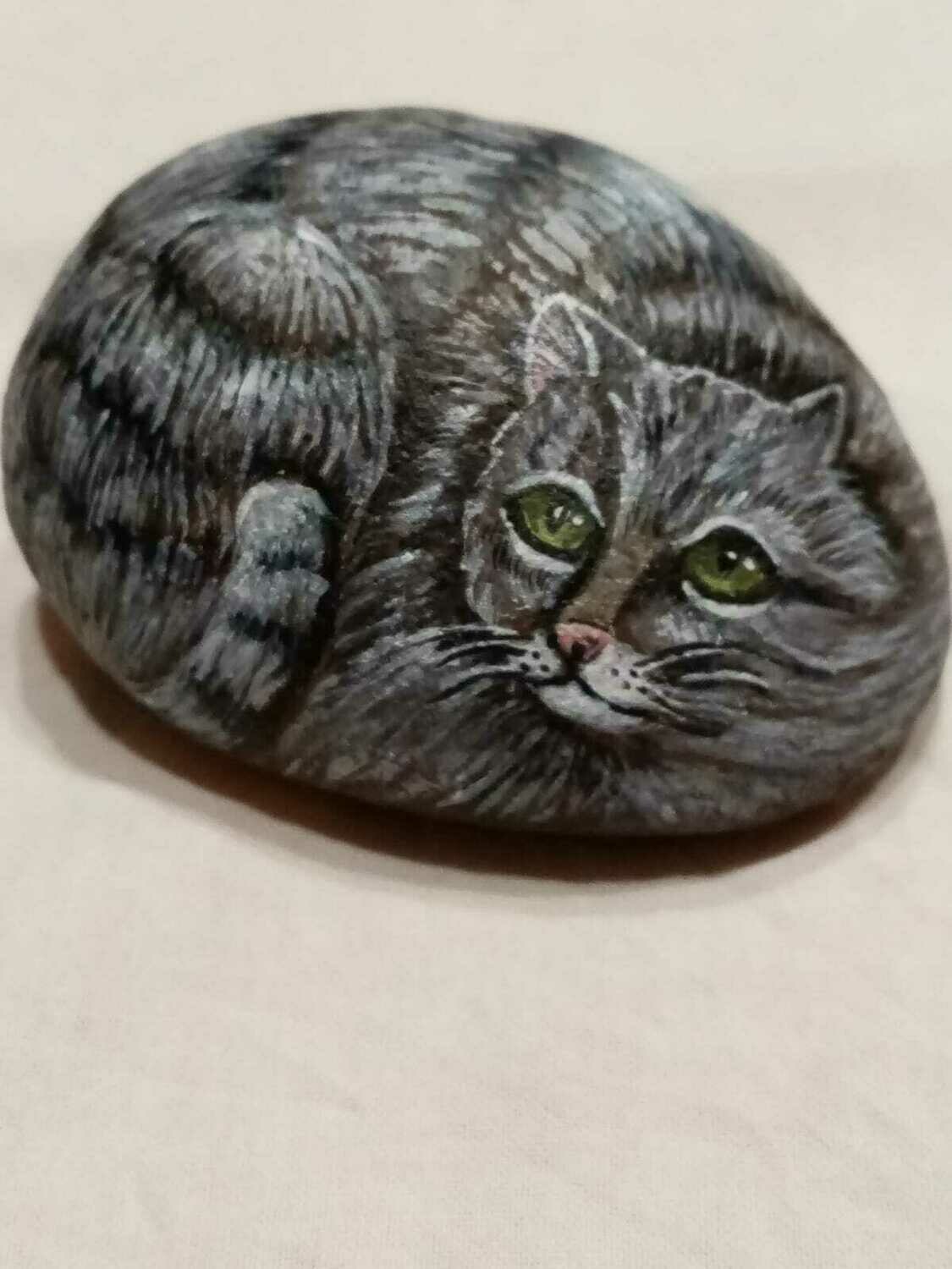 IL GATTO