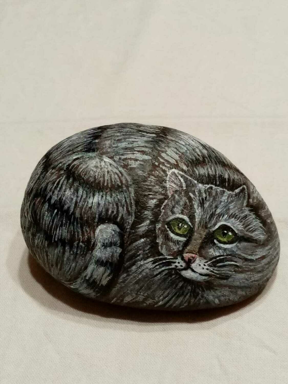 IL GATTO