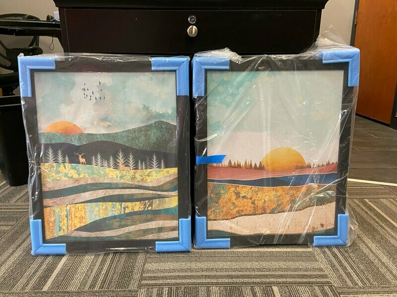 Framed Print - 16" x 20"