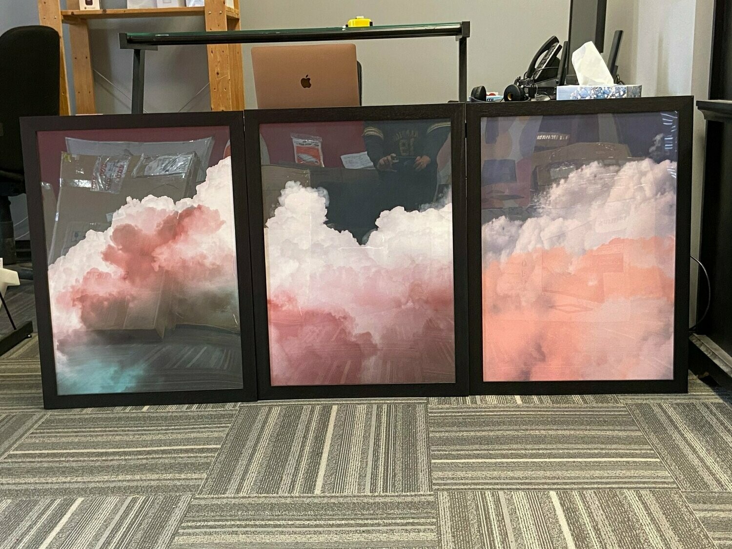 Framed Print - 20" x 28"
