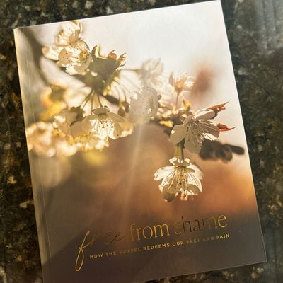 Free from Shame, Devotional