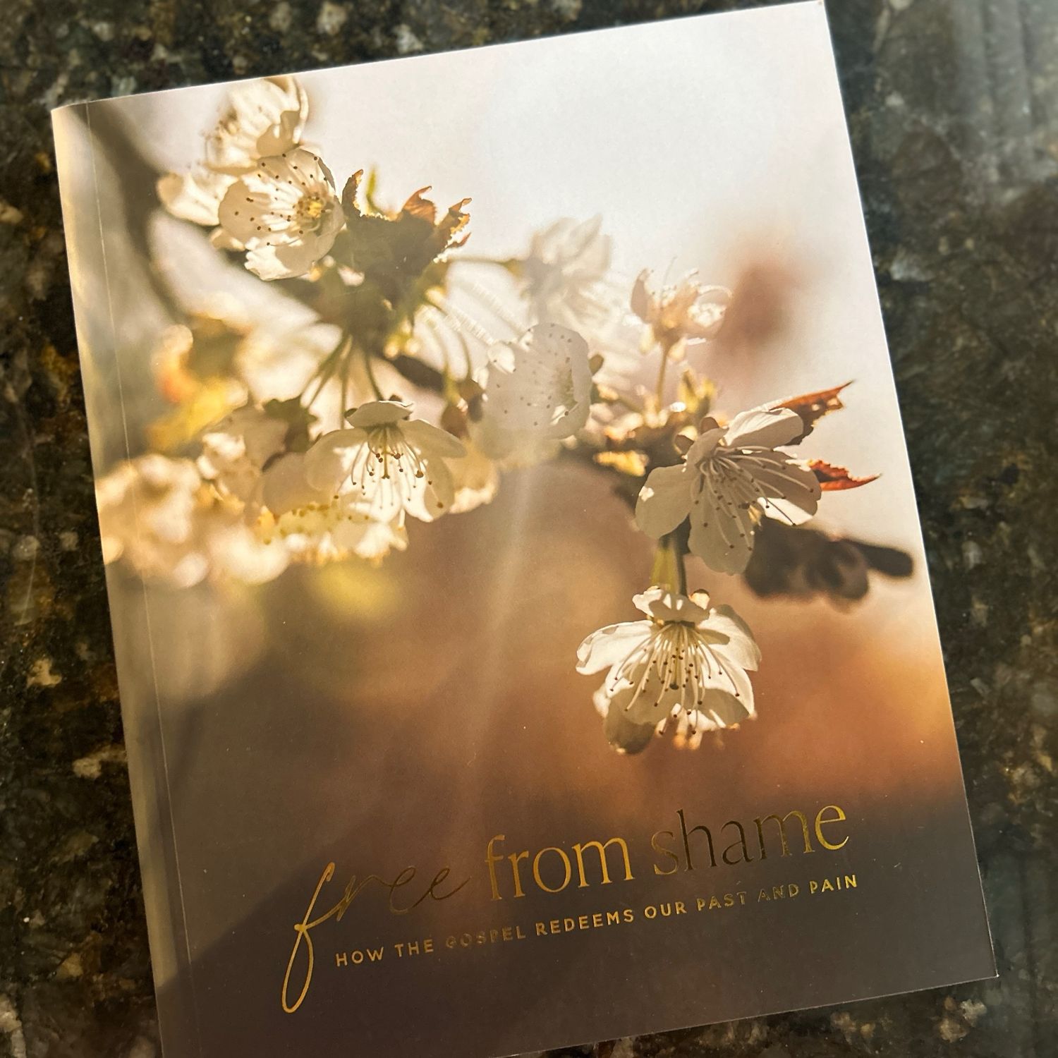 Free from Shame, Devotional