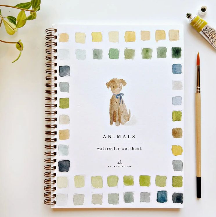 Watercolor Workbook