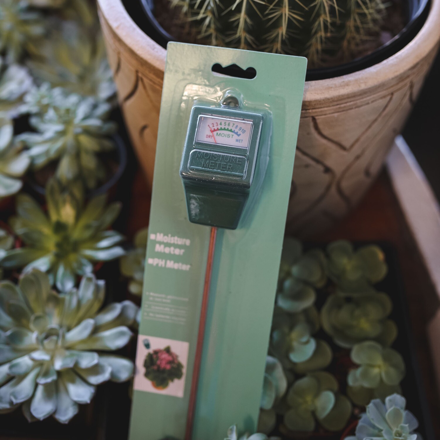 Moisture Meter