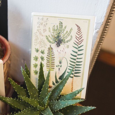 Botanical Fern Card